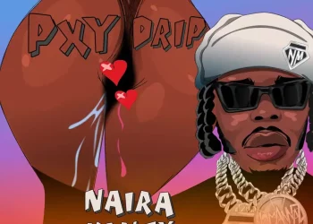 DOWNLOAD Naira Marley – I’m Back mp3