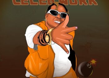 DOWNLOAD Smur Lee – Celeb Work mp3