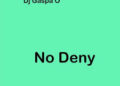 DOWNLOAD Dj Gaspa O – No Deny (Slow Version) mp3