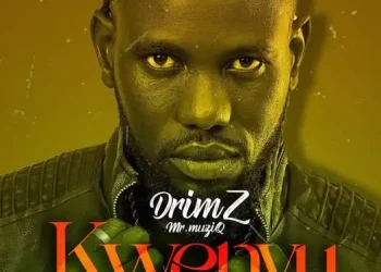 DOWNLOAD Drimz – Kwenyu mp3